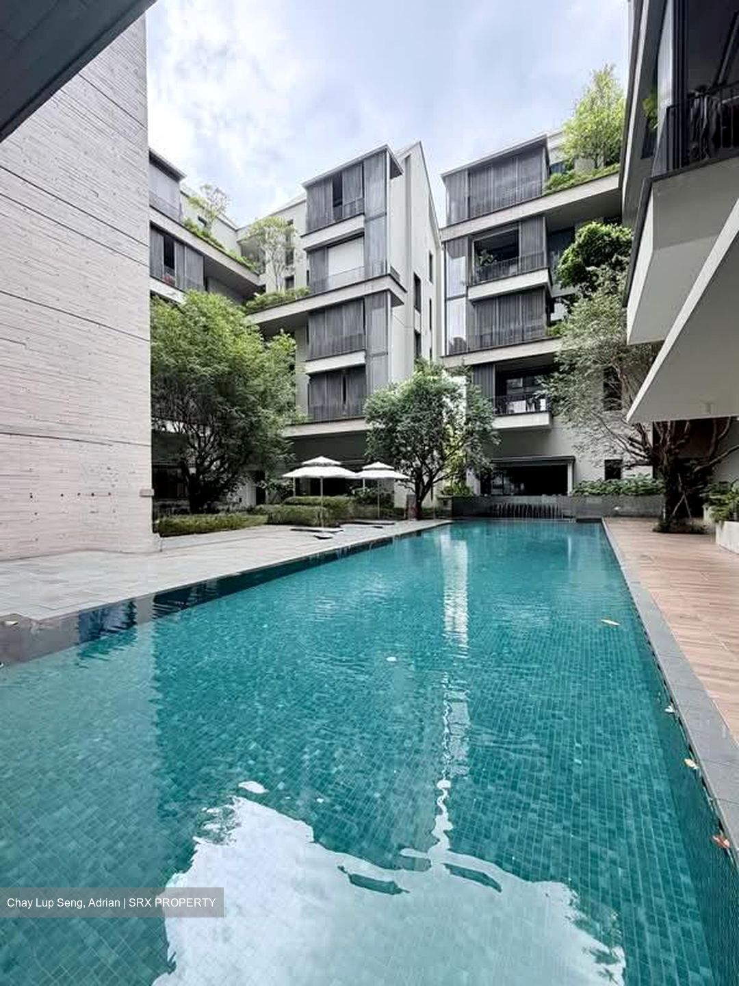 10 Evelyn (D11), Apartment #577142301